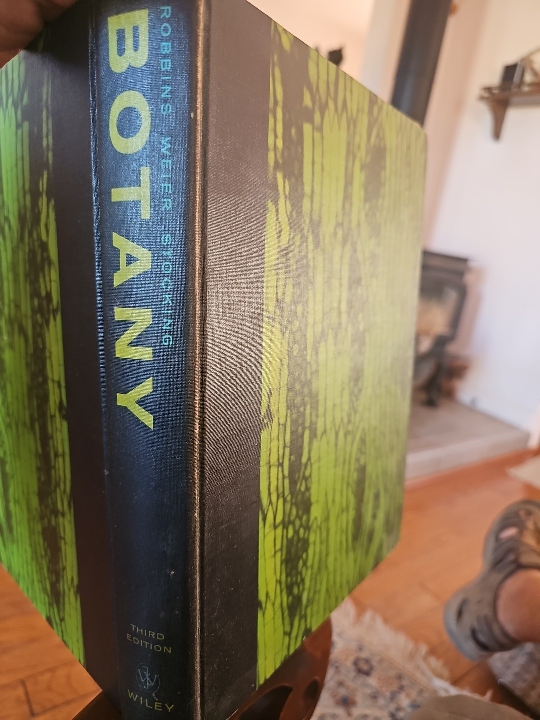 Botany Introduction to Plant Science Third Edition Robbins Weier Stocking 1967