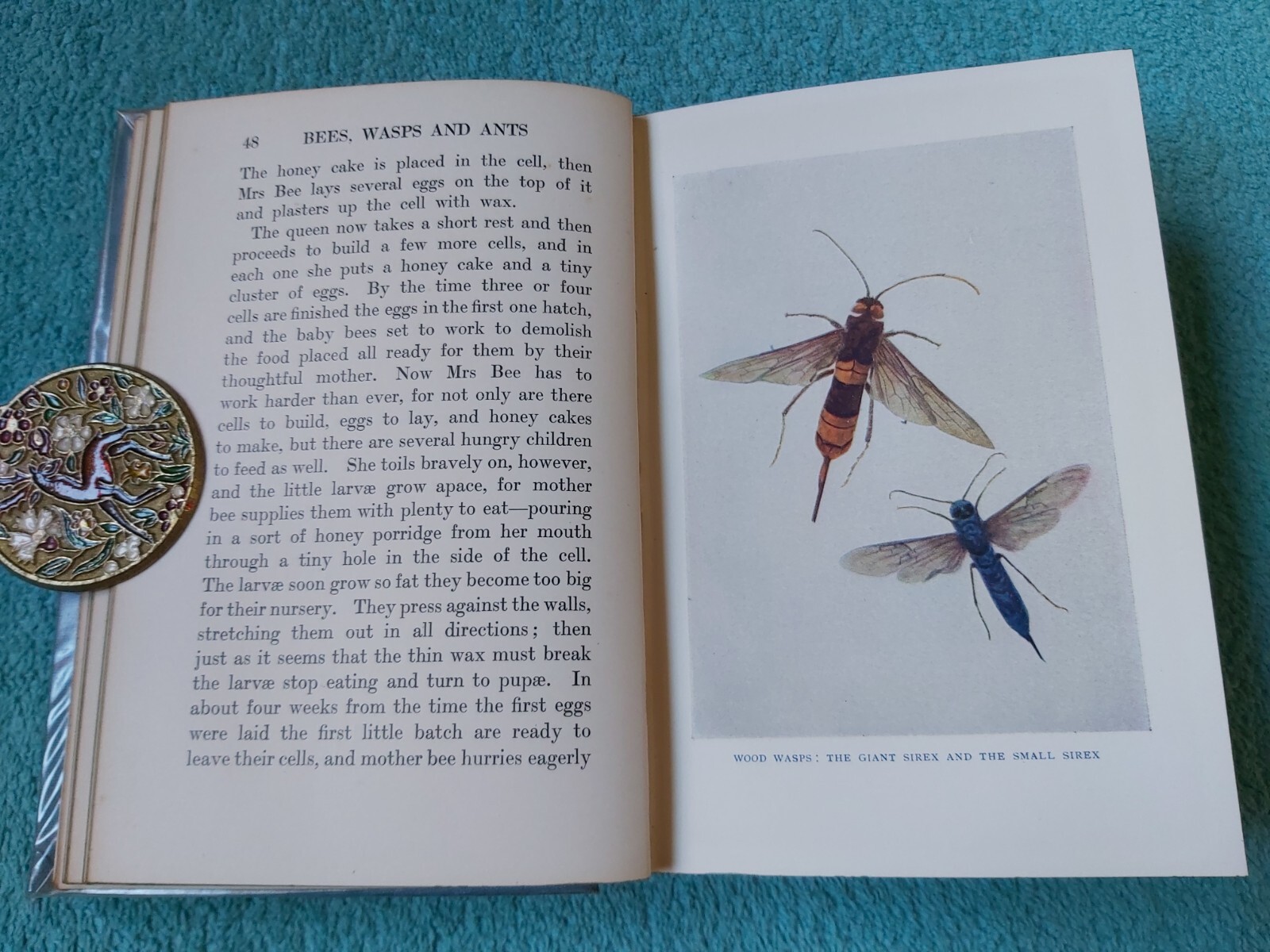 Insect Builders and Spinners by Martin Duncan, Henry Frowde H&S, HB, 1930s