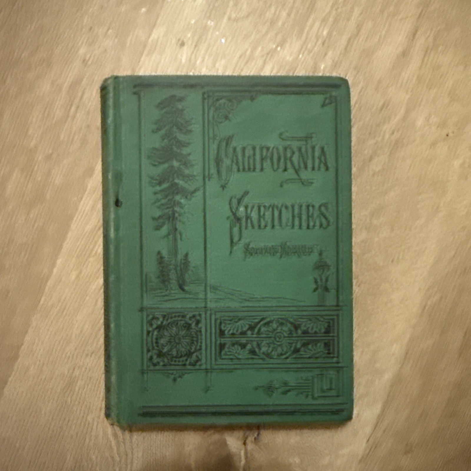 California Sketches 1881 RARE Americana first edition Fitzgerald Rare