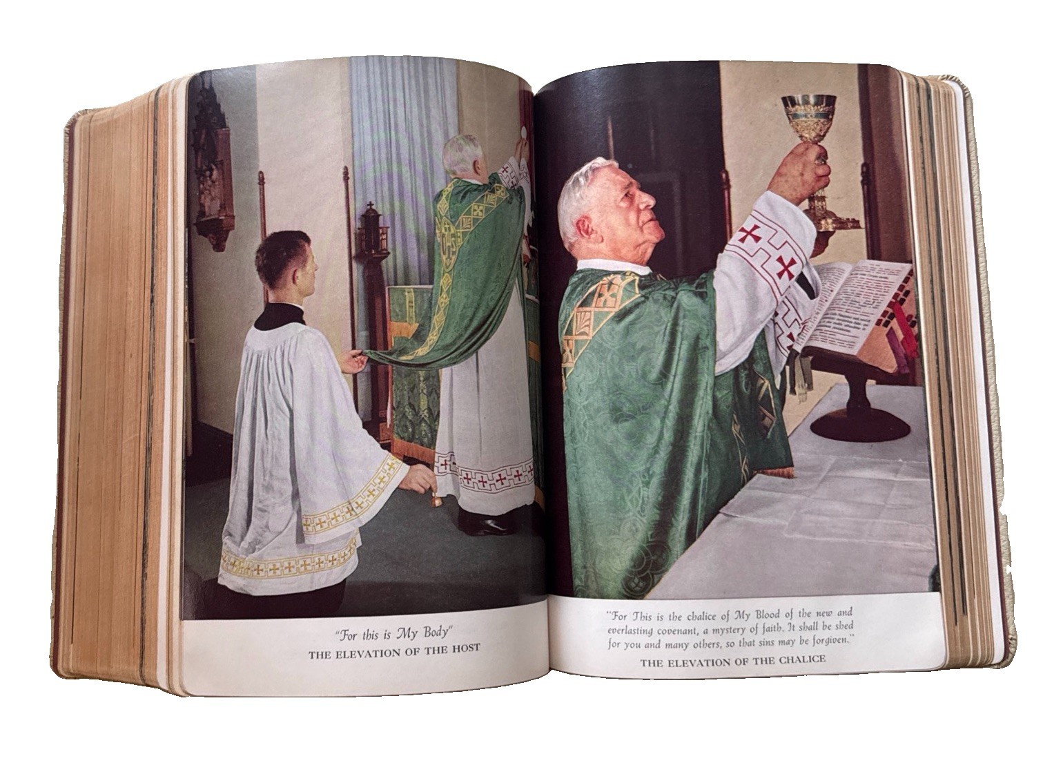 Holy Bible Catholic Family Action Vintage Confraternity Douay-Challoner Edition