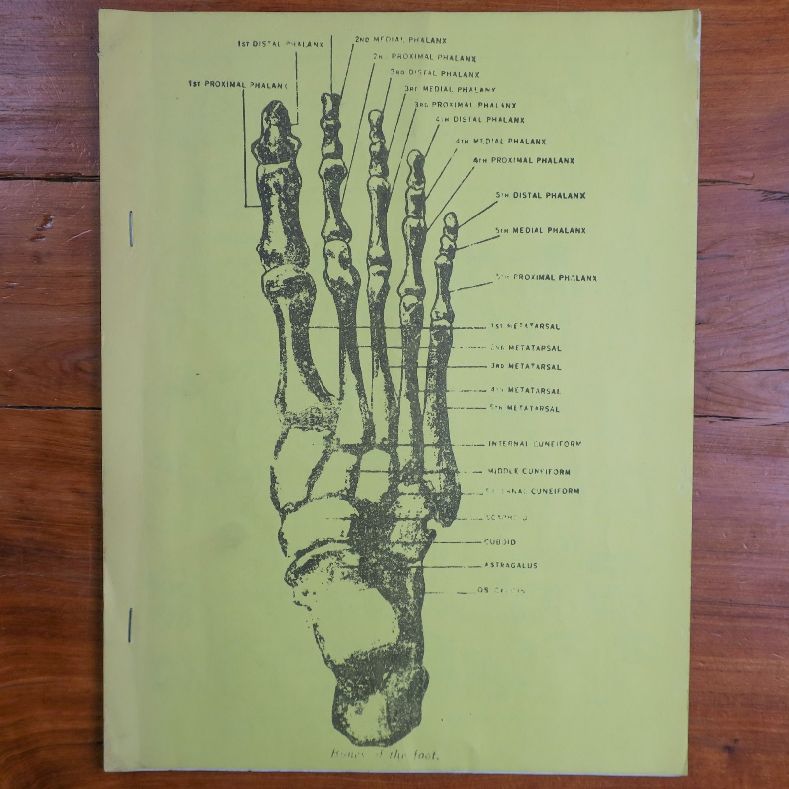 Natural System of Foot Correction Course No 2 Dr F. Collins Health Research