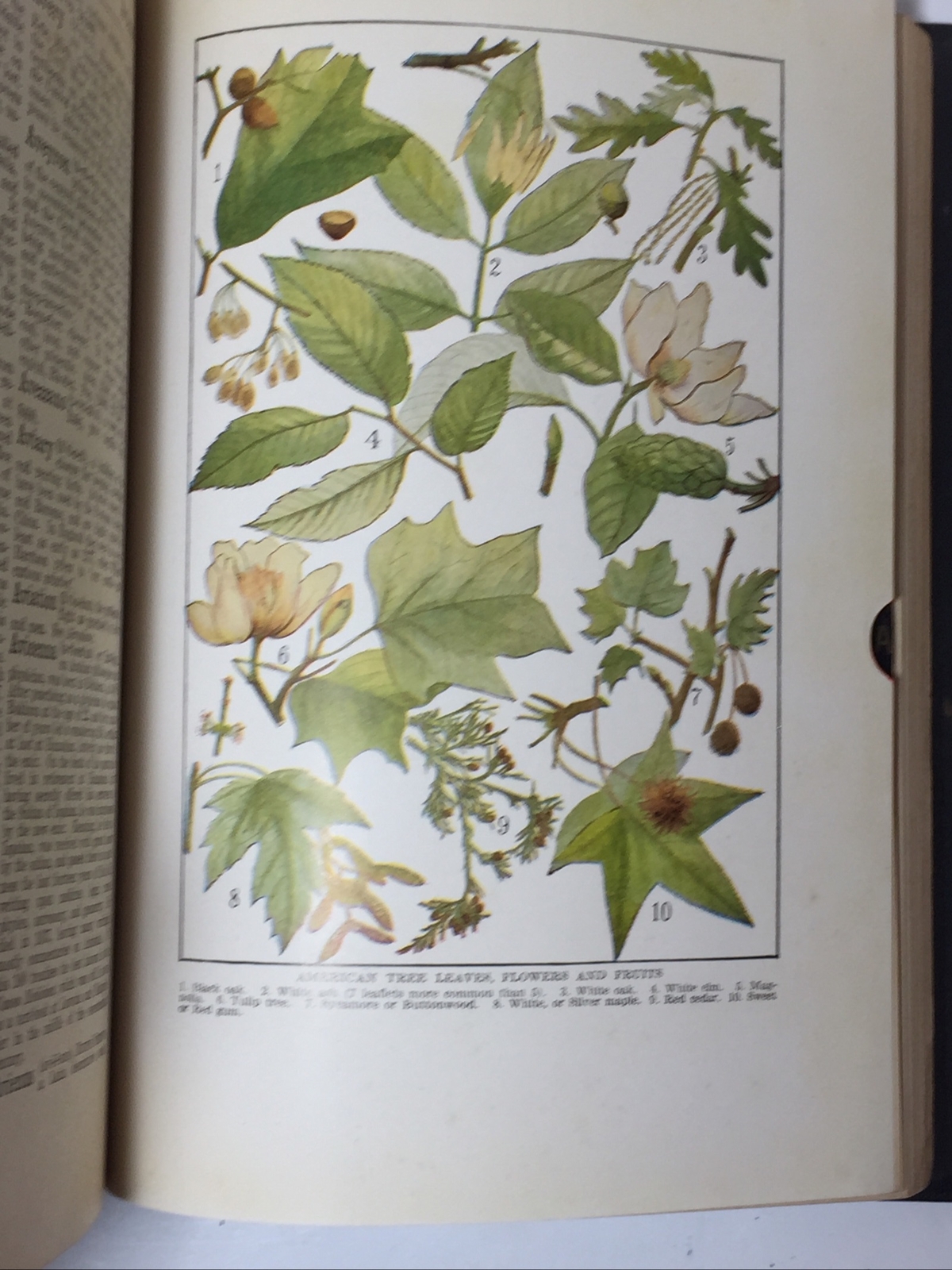 Winston’s Cumulative Loose Leaf Encyclopedia, 1926, Volume 1, Repurpose, Journal