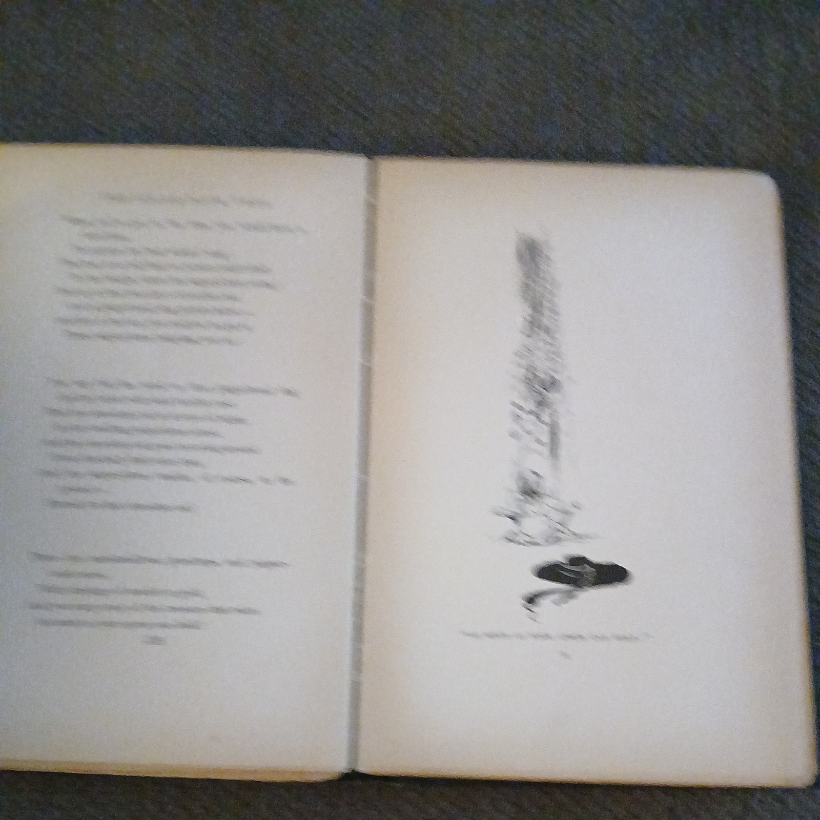 Lullaby-Land 1897 Eugene Field, Illstrd by Charles Robinson GAC