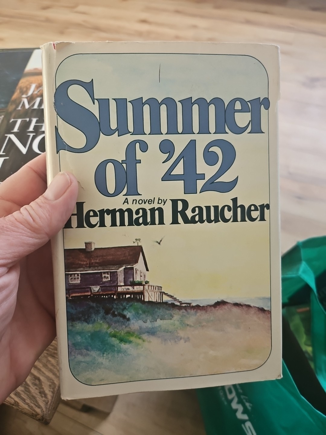 Summer 0f 42 (BCE) by Herman Raucher