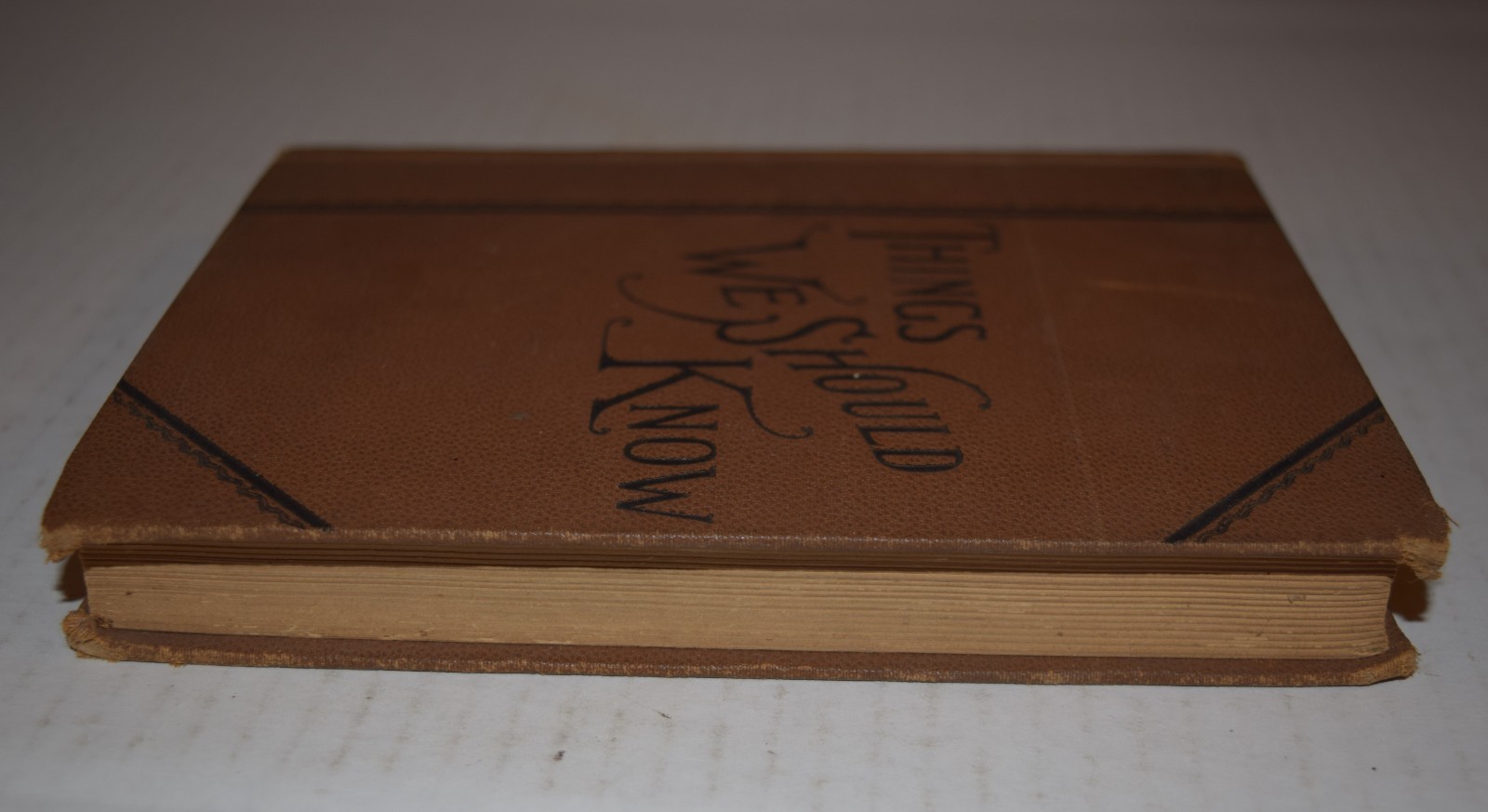Things We Should Know – Frank Gilbert 1893! HC illustrated