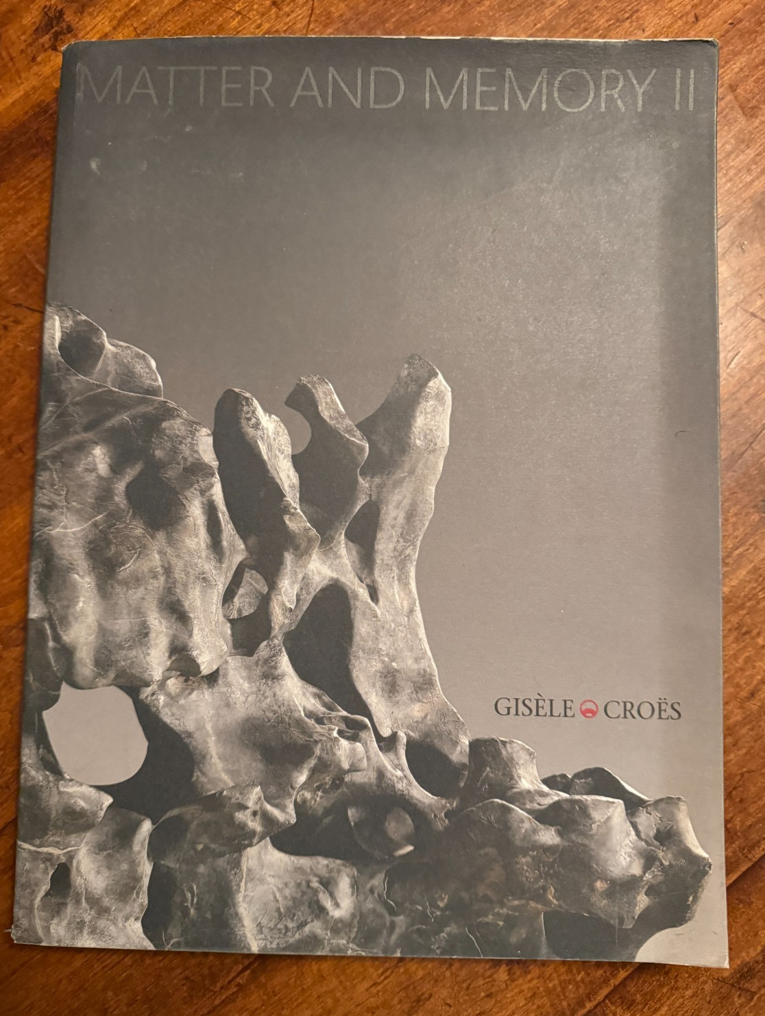 MATTER AND MEMORY II March 2014 GISELE CROES Gagosian Gallery Exhibition Catalog