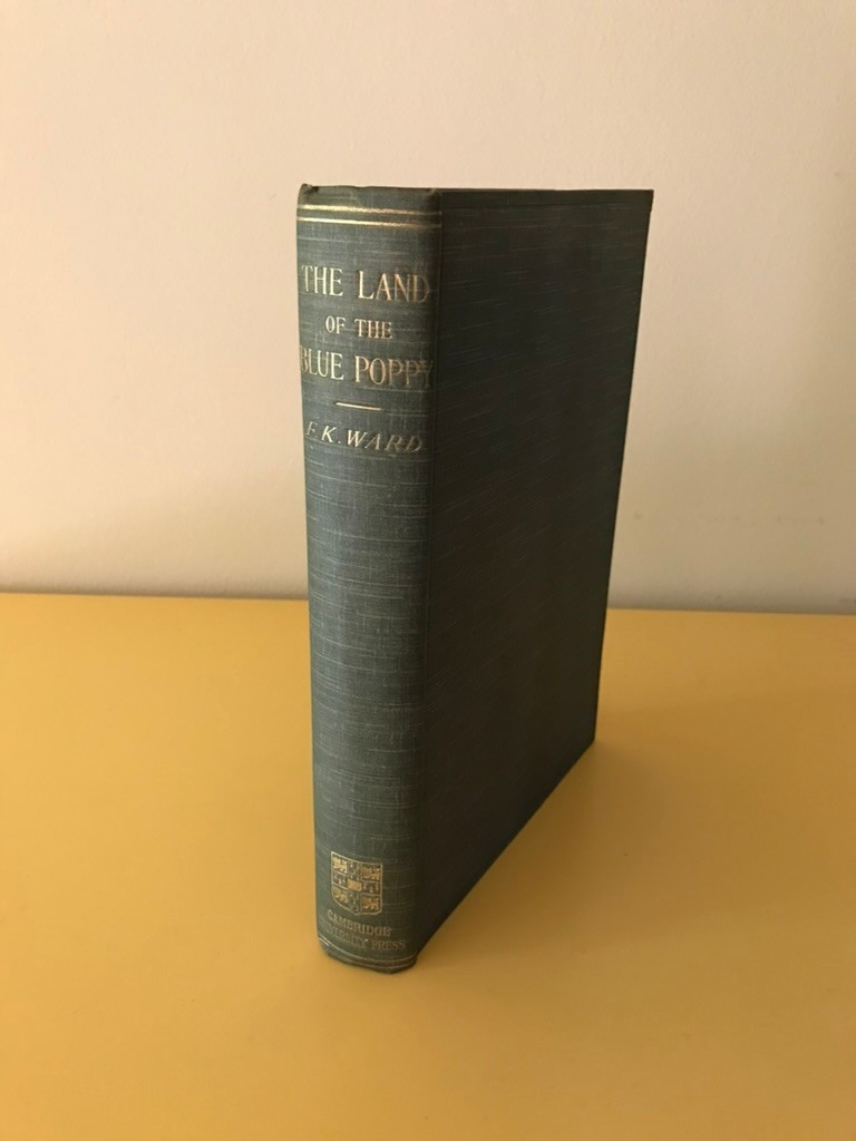 Antique Book 1913 The Land of the Blue Poppy, Scholarly Book about Tibet