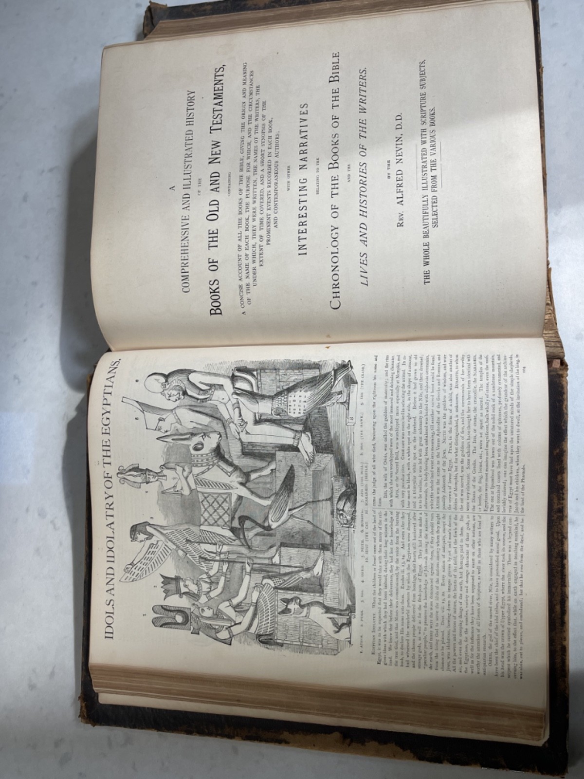 HOLY BIBLE CONTAINING THE OLD AND NEW TESTAMENTS 1880 A. J. Holman & Co.