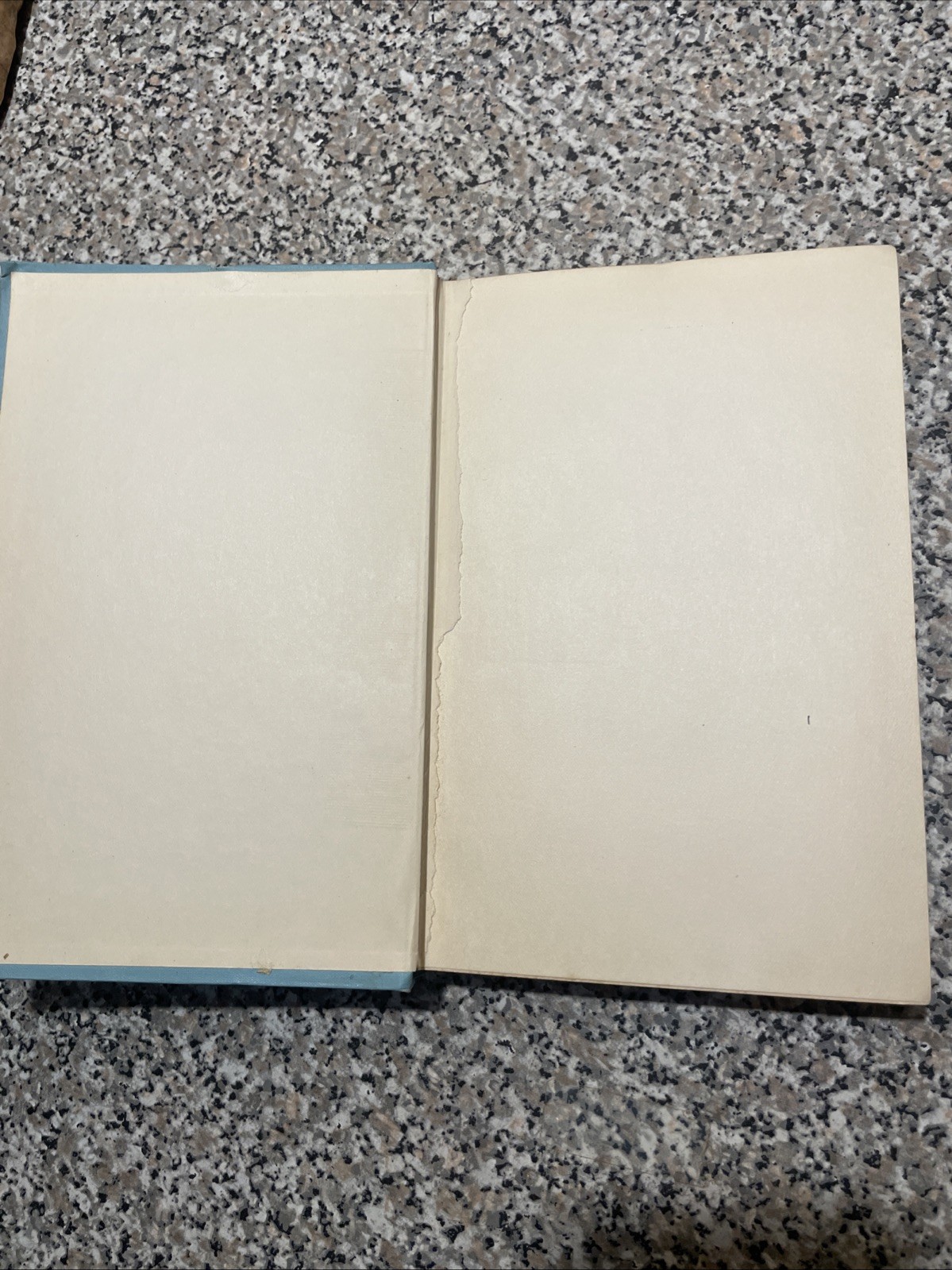 The Loves of the Lady Arabella by Molly Elliot Seawell 1906 Bobbs-Merrill H/C