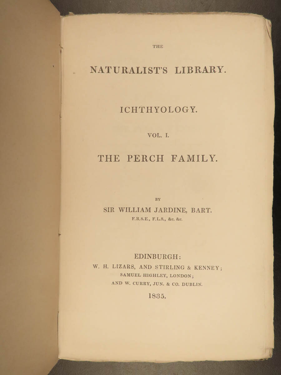1835 Jardine Naturalist FISH Ichthyology Perch Black Bass Hawkfish FISHING