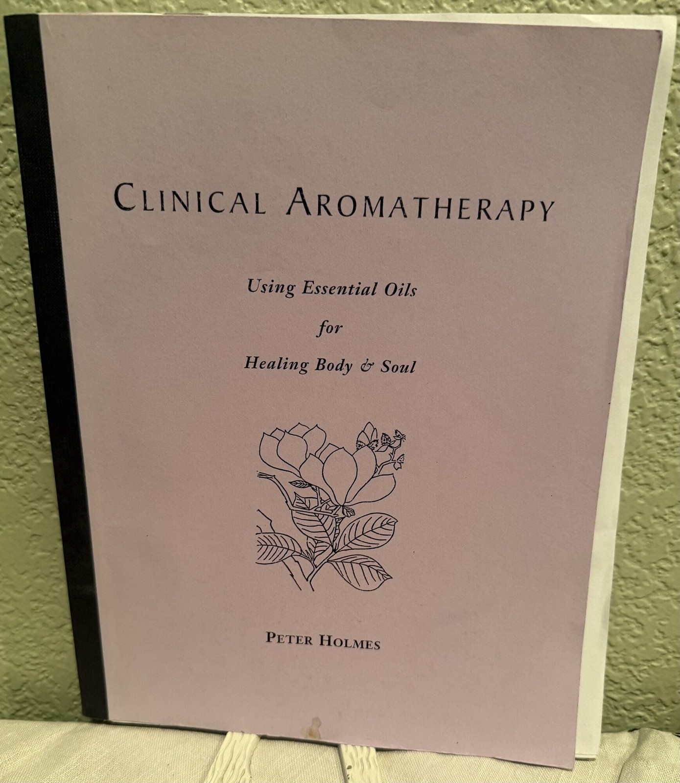 Peter Holmes / Clinical Aromatherapy Using Essential Oils 1st Edition 2001