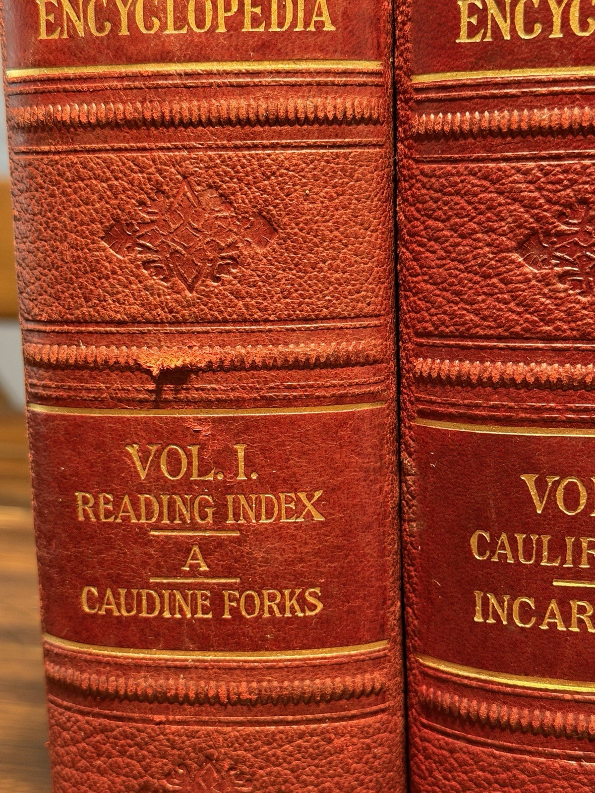 1902 School Library Encyclopedia Complete 4 Vol Set Bellows Bros Leather Bound