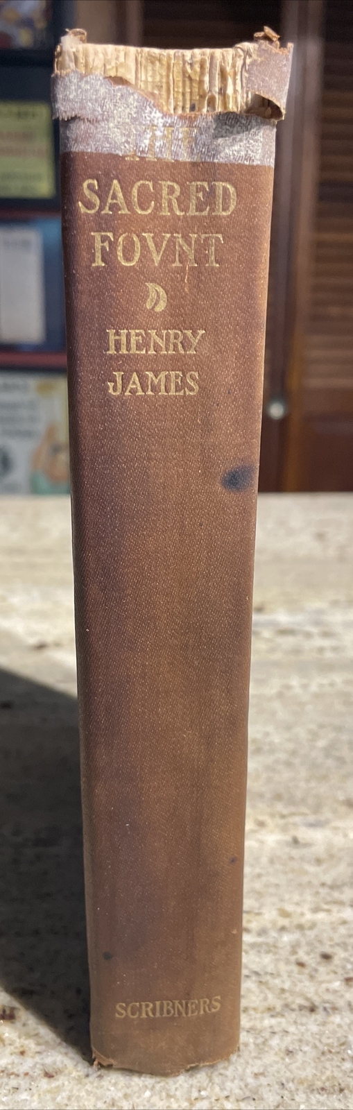 The Sacred Fount By Henry James 1st Edition 1901 (Charles Scribner’s Son’s) HC