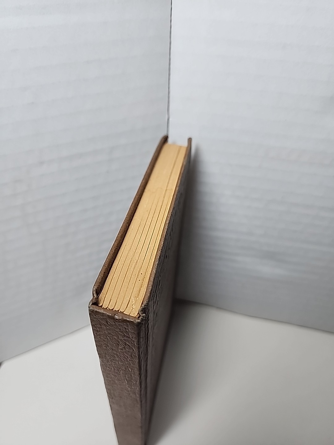 Witman Publishing 1940s Everyday Diary Journal Unused Book RARE Brown Vtg