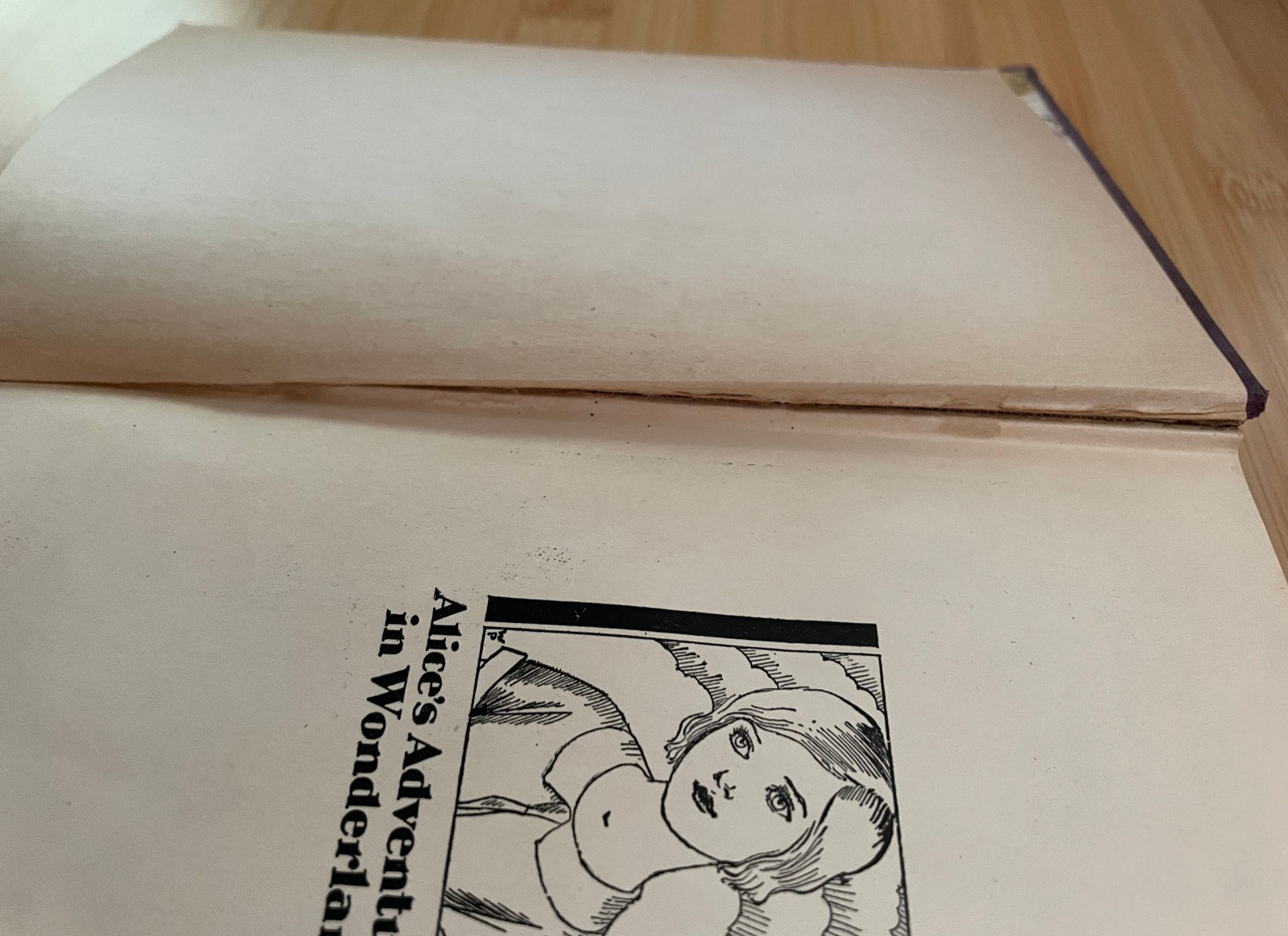 Alice’s Adventures in Wonderland – Lewis Carroll illustrated Willy Pogany 1929