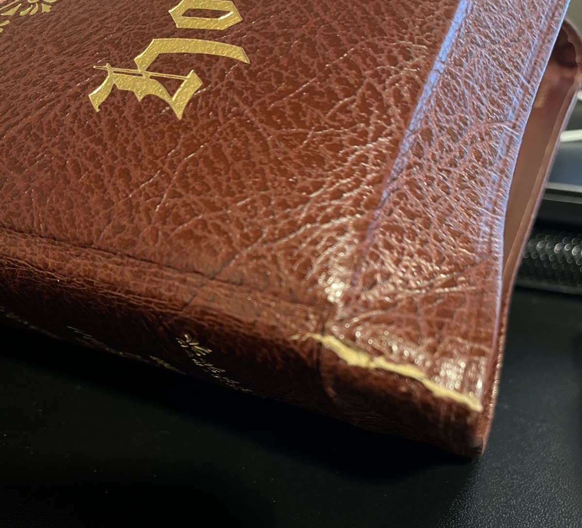 Vintage Family Heritage Bible 1955 King James Illustrated Red Letter Edition NEW
