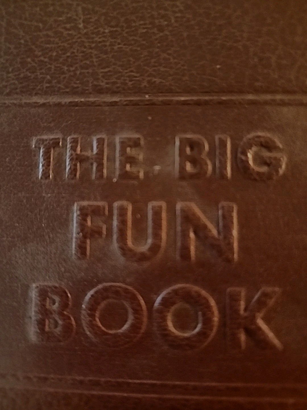 The Big Fun Book Jerome S. Meyer 1940, 1952 Puzzles Quizzes The Grolier Society