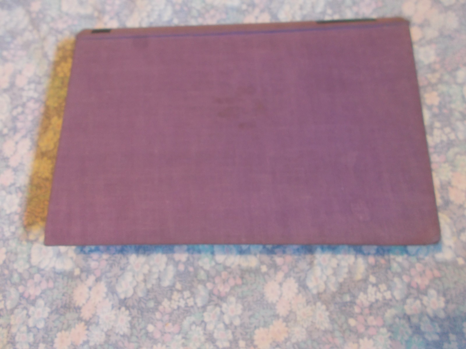Lady Carter A LIVING SOUL IN HOLLOWAY 1938 1st ed women’s prisons welfare RARE