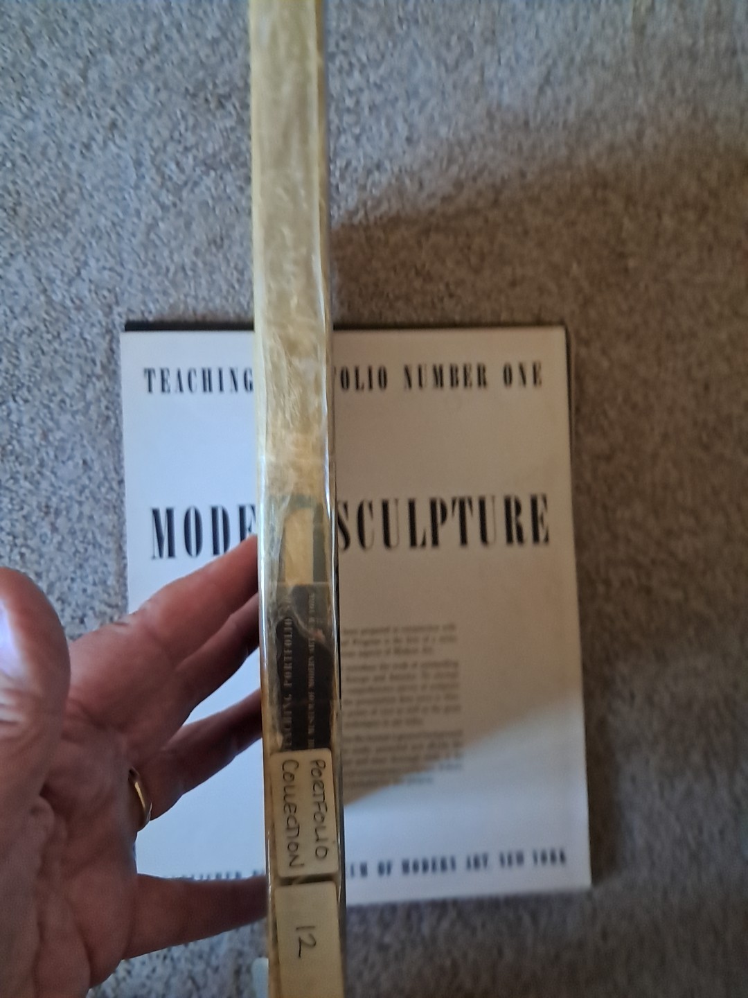 Teaching Portfolio Number One Modern Sculpture, Museum of Modern Art NY
