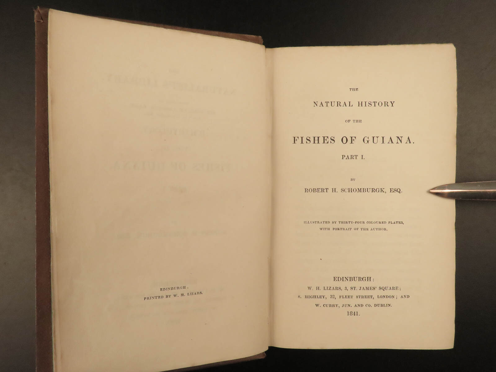 1841 Jardine Naturalist FISH Piranha Salmon Carp Dorsa Ichthyology Africa Guiana