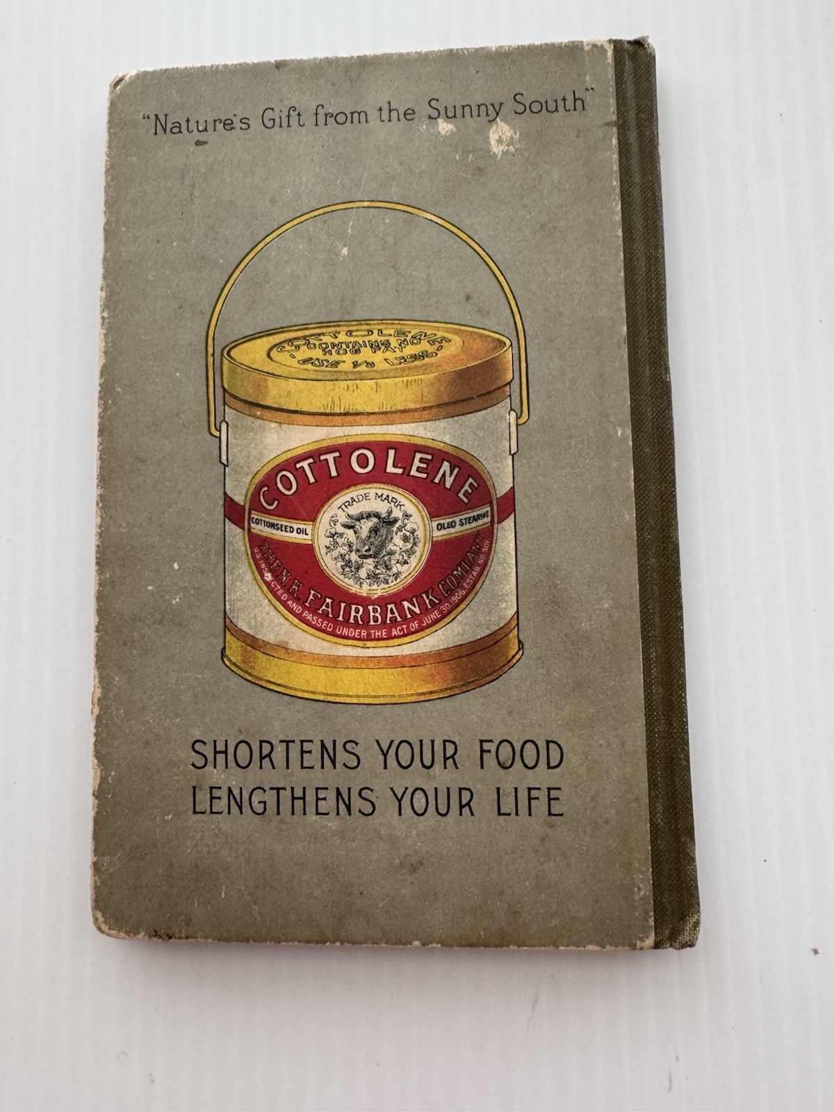 Home Helps: A Pure Food Cookbook By Several Authors 1910