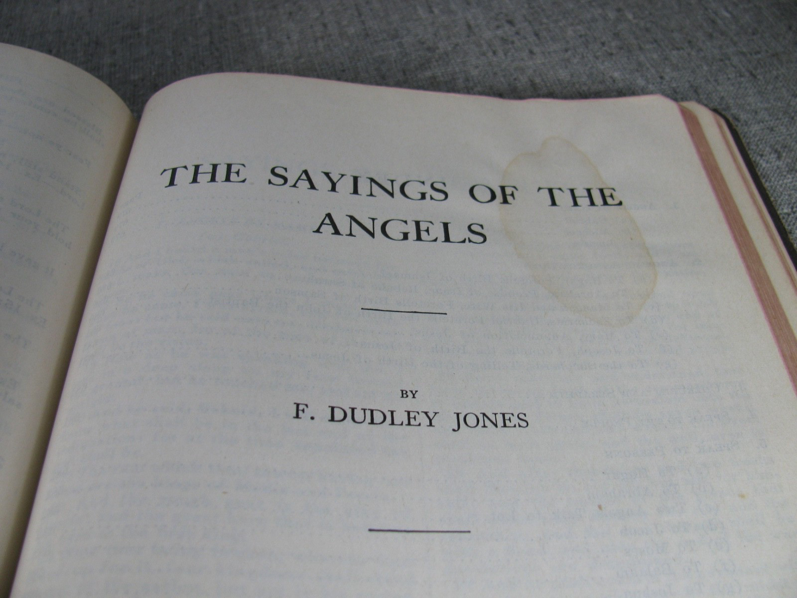 The System Bible Study Revised And Enlarged Leather Bound Study Bible 1933