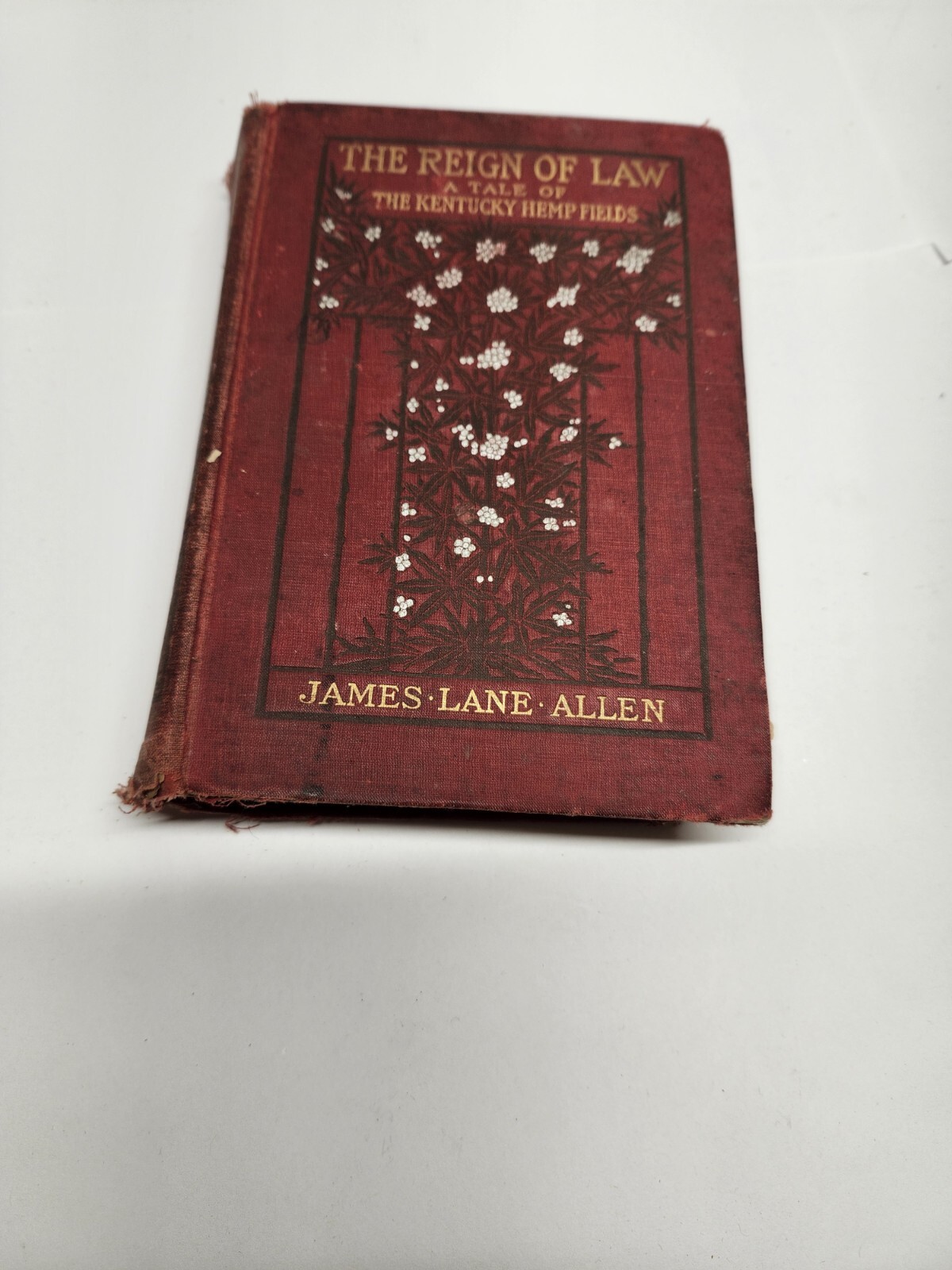 The Reign of Law James Lane Allen 1st Ed 1900 Kentucky Hemp Fields Antique Book