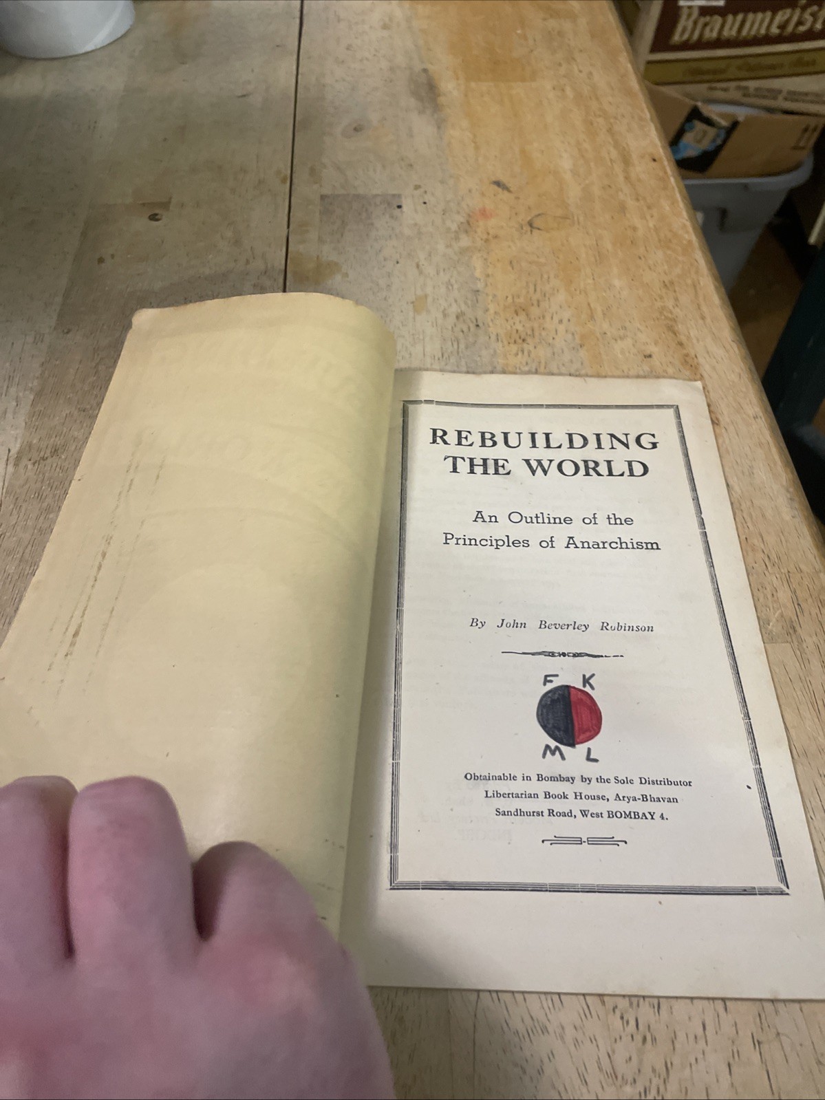 REBUILDING THE WORLD John Beverley Robinson VTG Pamphlet Anarchism HTF