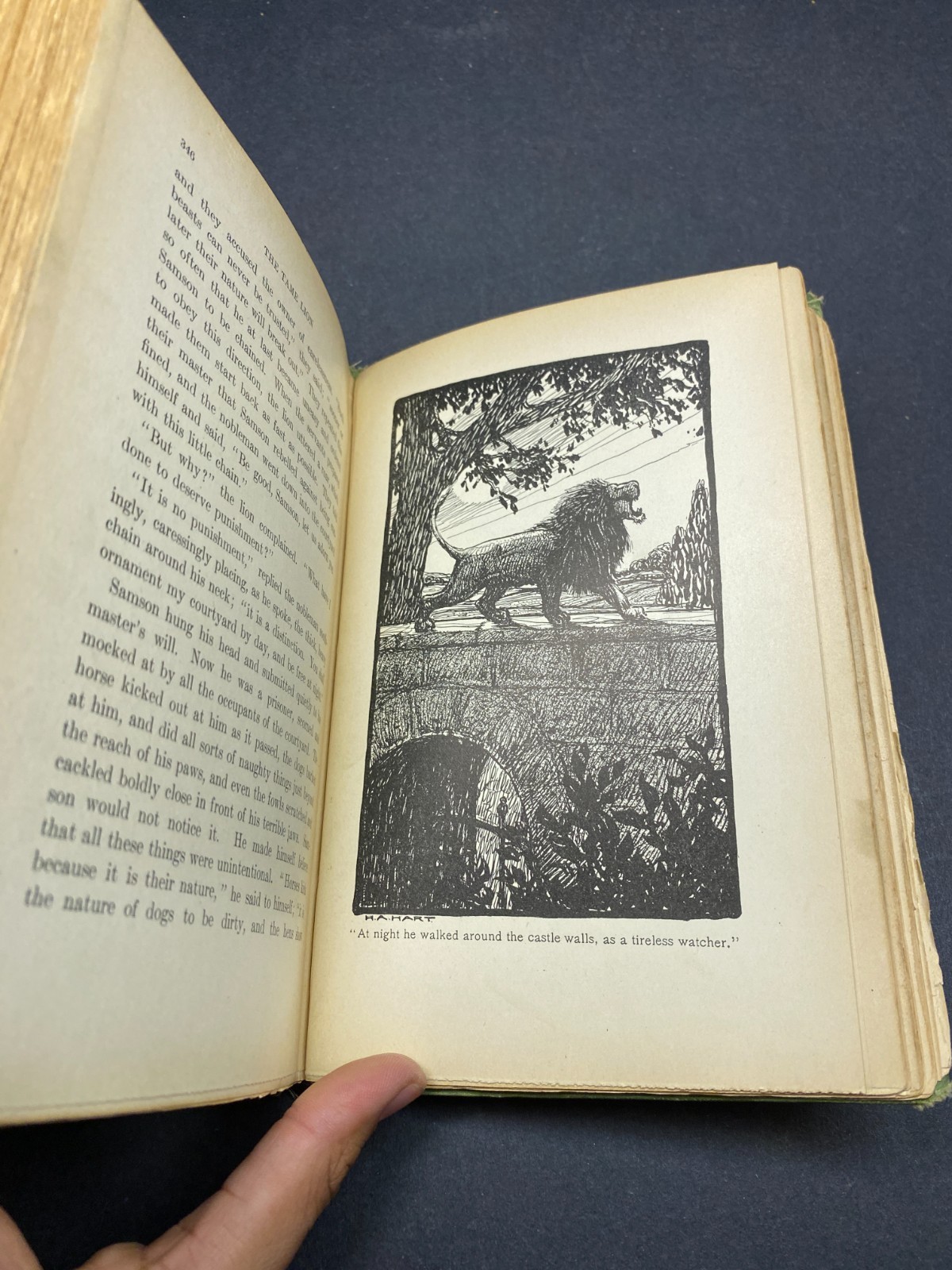 1905 – The Dwarf’s Spectacles and Other Fairy Tales – Nordau – Rare – Hardcover