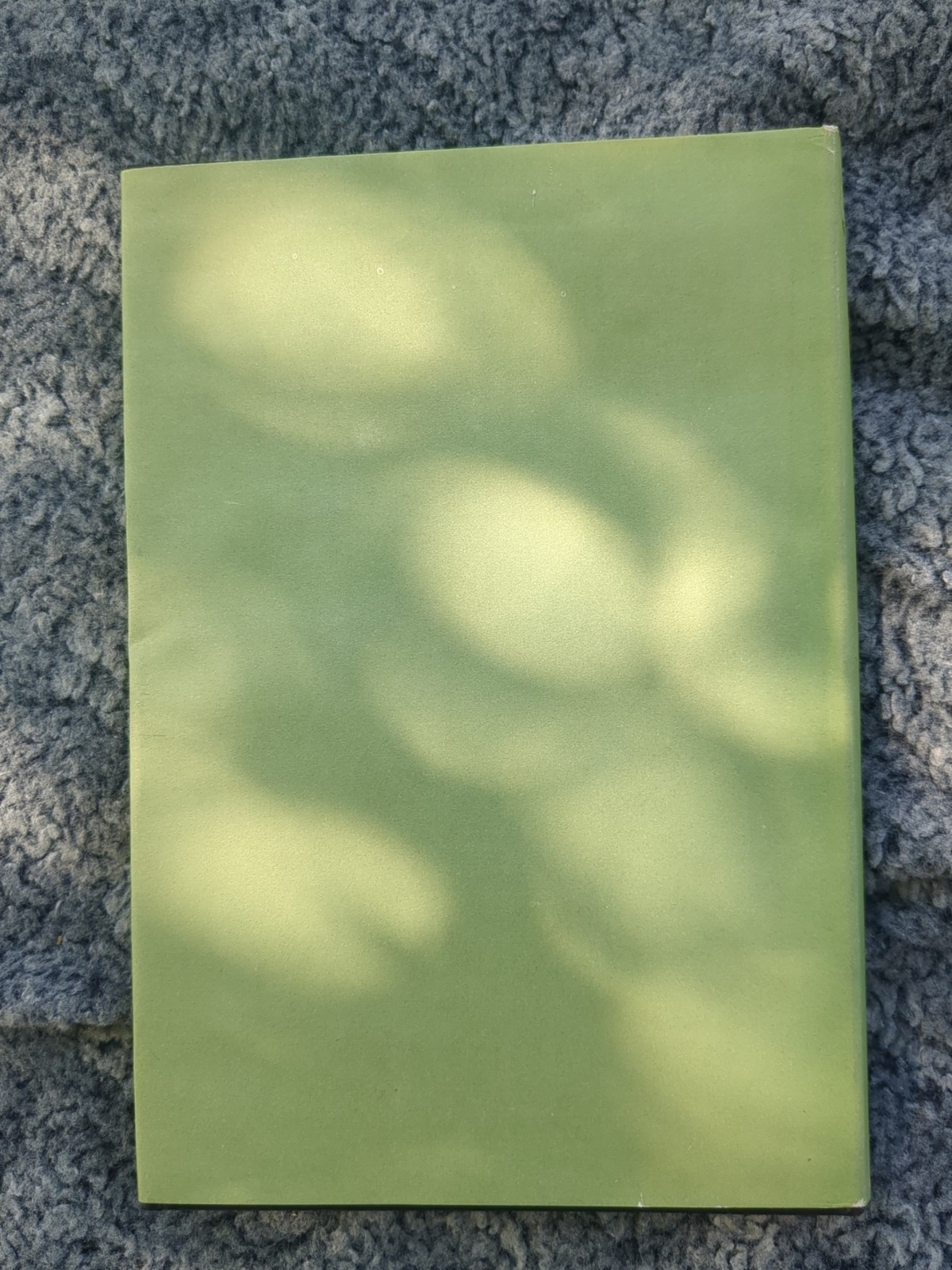 Brigitta by Adalbert Stifter First 1st Edition VG HC 1957, Very Good A
