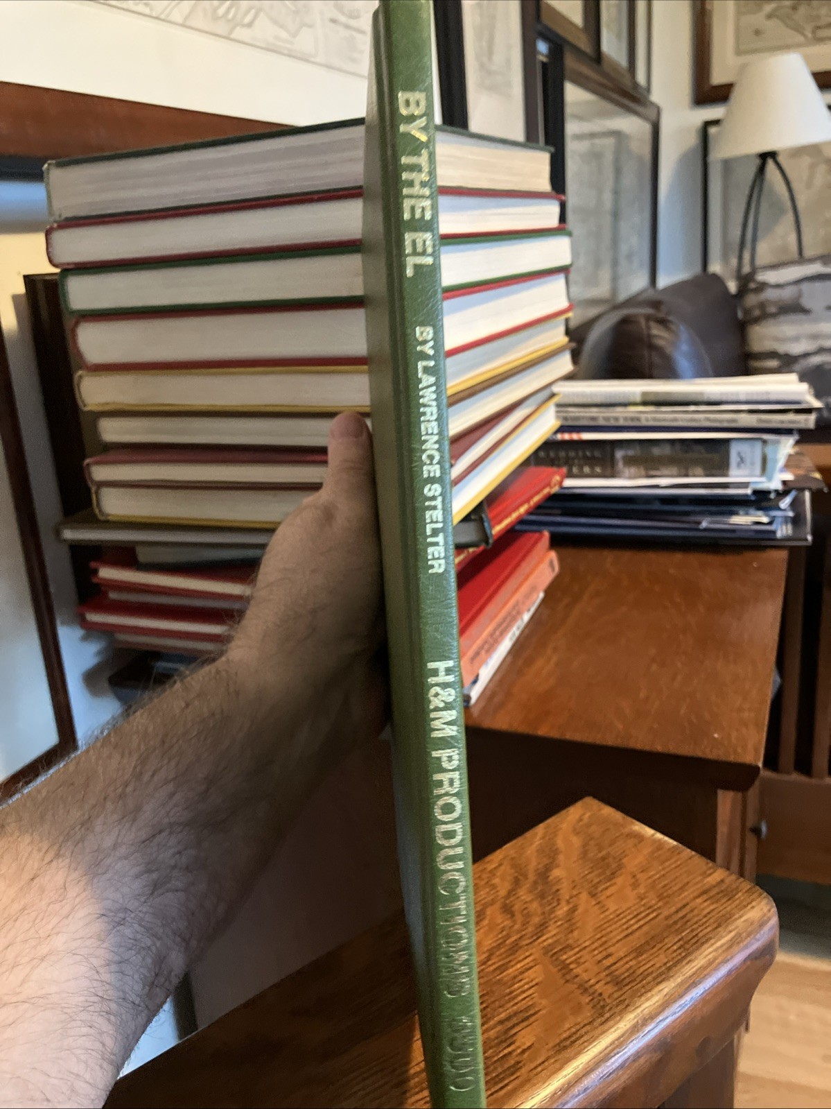 NYC Subways History Book By The El Train Mid 20th Century 3rd Ave Stelter 1995