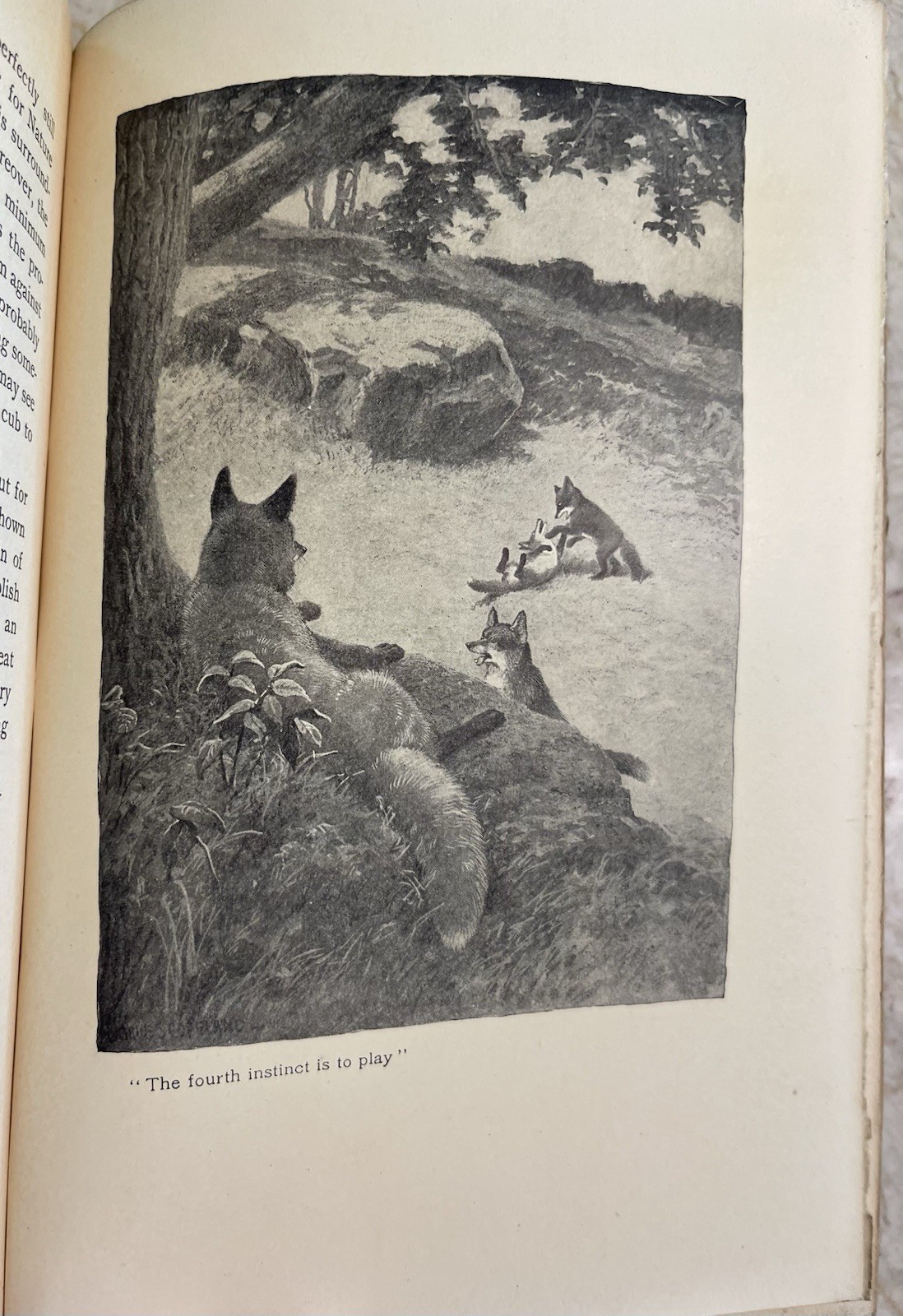 1906 Brier-Patch Philosophy Peter Rabbit William Long Illust. 1st Edition 296pg