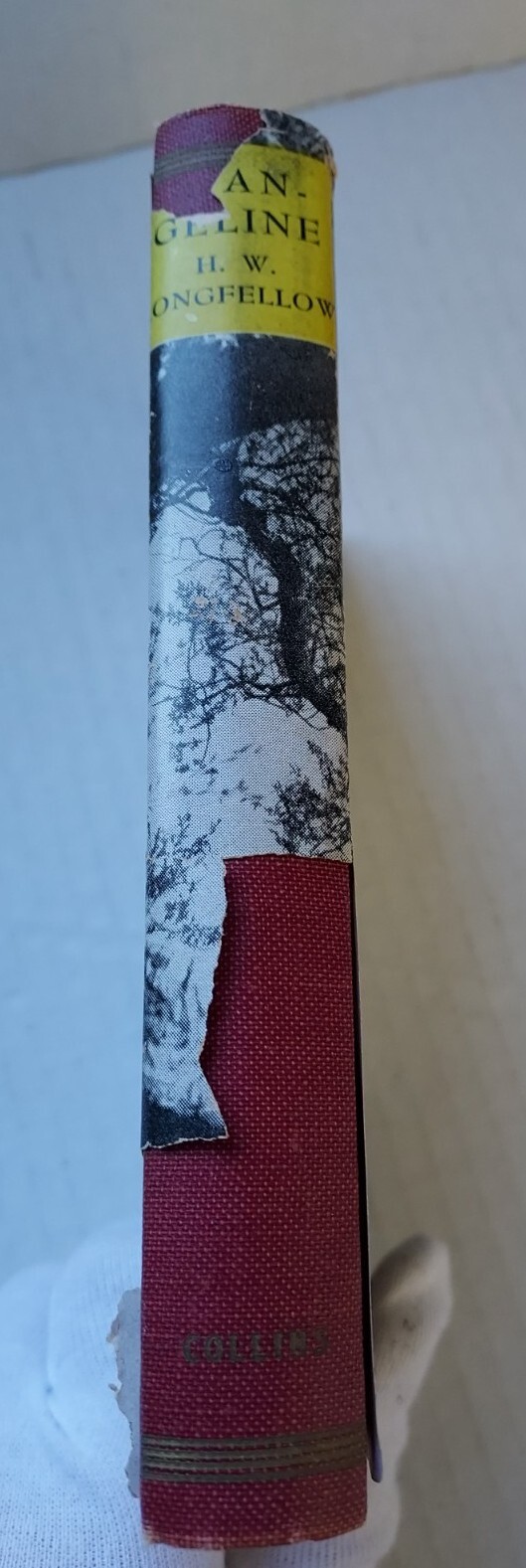 Evangeline And Evangeline Country Longfellow Souvenir Edition 1947 Two Lovers