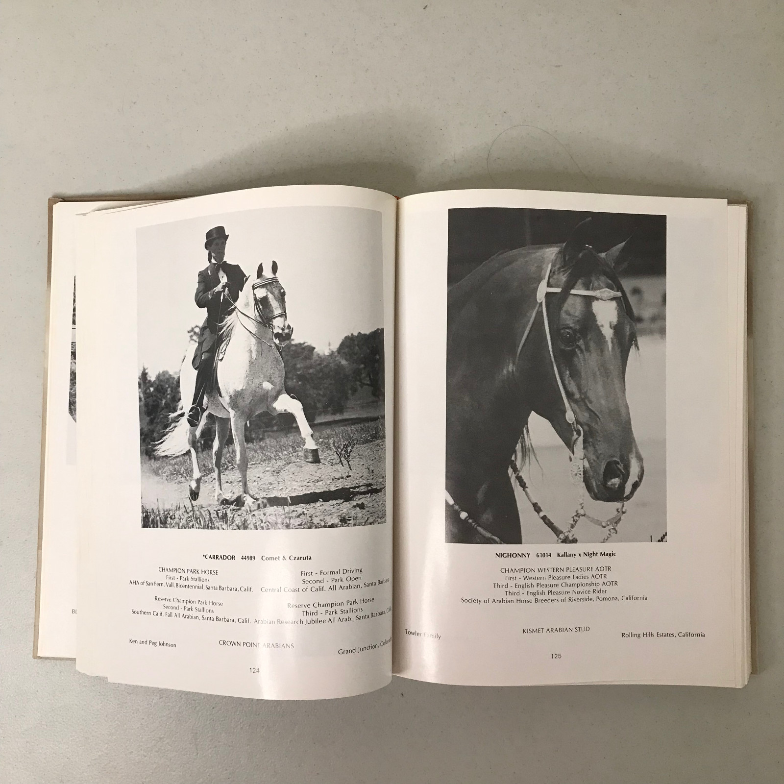 Arabian Horse Yearbook 1976 – Arabian Horse Association – HC