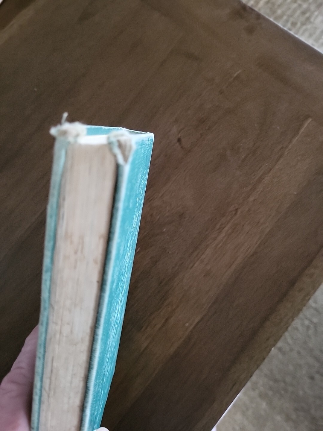 The New Five & a Half Club – Alice & Jerry – Row Peterson & Co. 1951 Edition