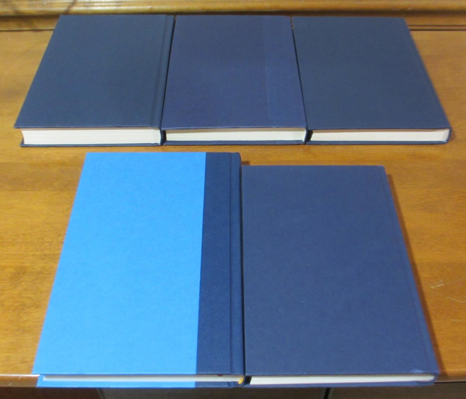 DECOR Book lot 5 Library Shelf Display Office Staging Navy Blue-White Text *NEW*