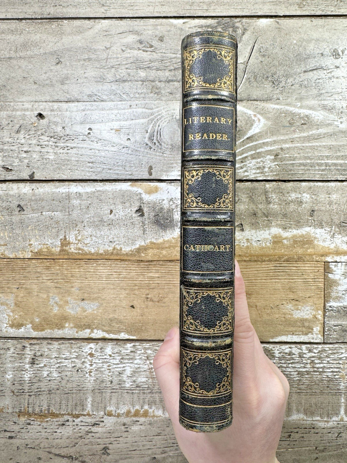 1880 Antique Literature Collections Book “The Literary Reader”