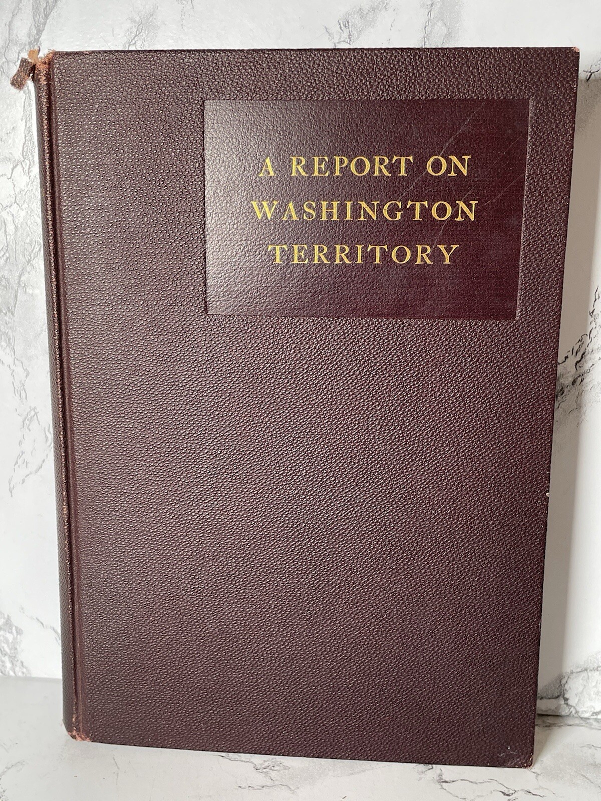 A Report On Washington Territory 1889 W H Ruffner 1st Edition Book Includes Maps