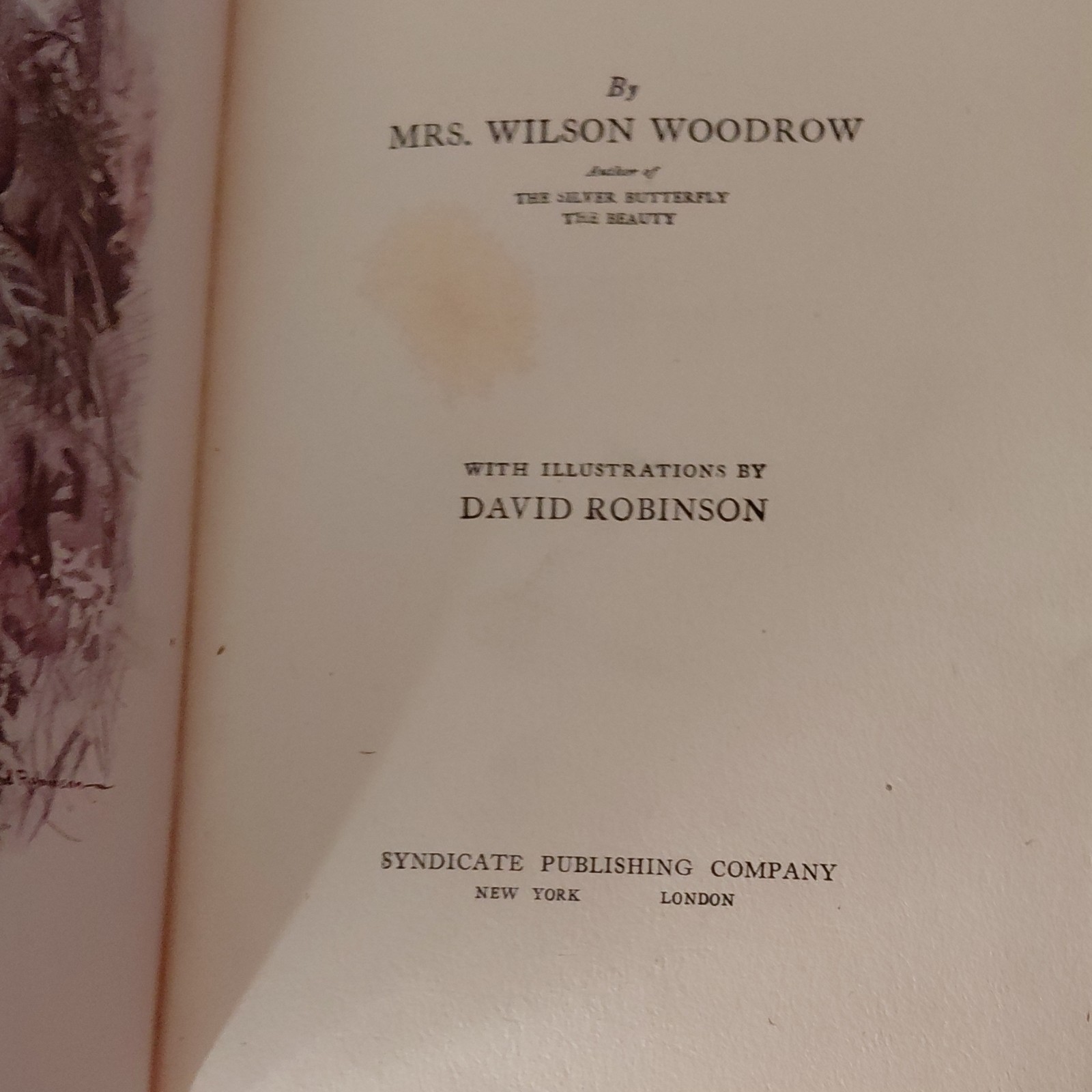 Sally Salt Mrs. Wilson Woodrow Syndicate Pub 1912 Illustrated Hardcover