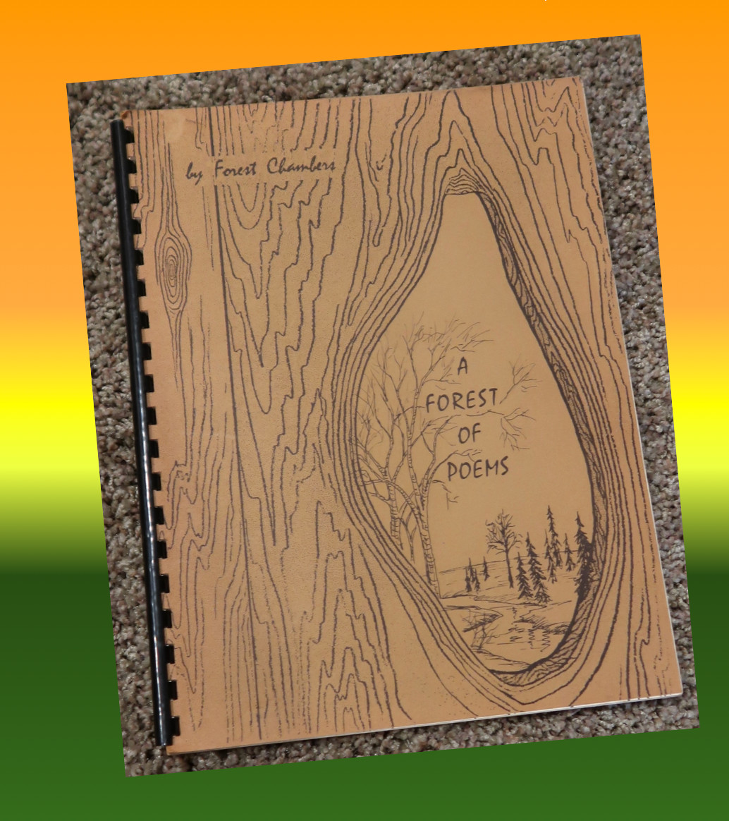 A Forest of Poems by Chambers ? spiral bound book illustrated Vintage 1970