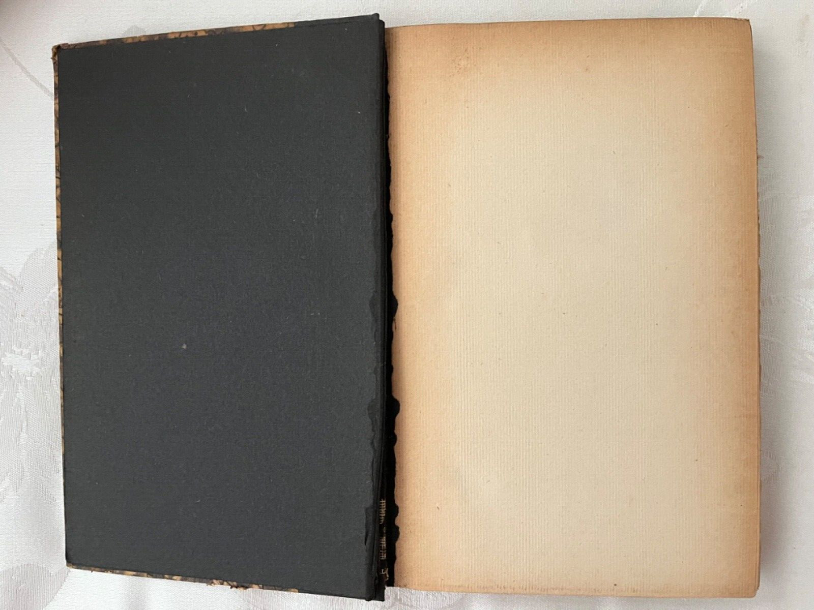 RARE Candide Part 1, 2 Voltaire Etchings by Clara Tice 1927 Limited edition DsVa