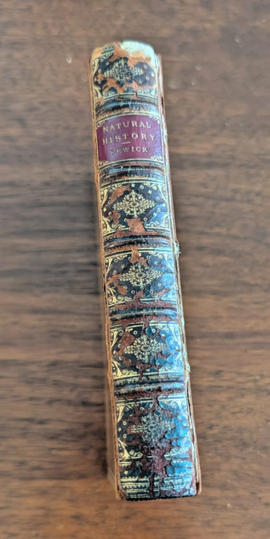 Antique Book Natural History British Foreign Birds Fish Bewick Wood Engravings