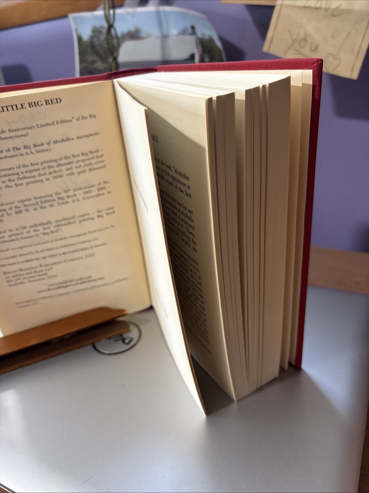 AA ALCOHOLICS ANONYMOUS LTD EDITION Pathway to a Cure BIG BOOK Cover NUMBERED