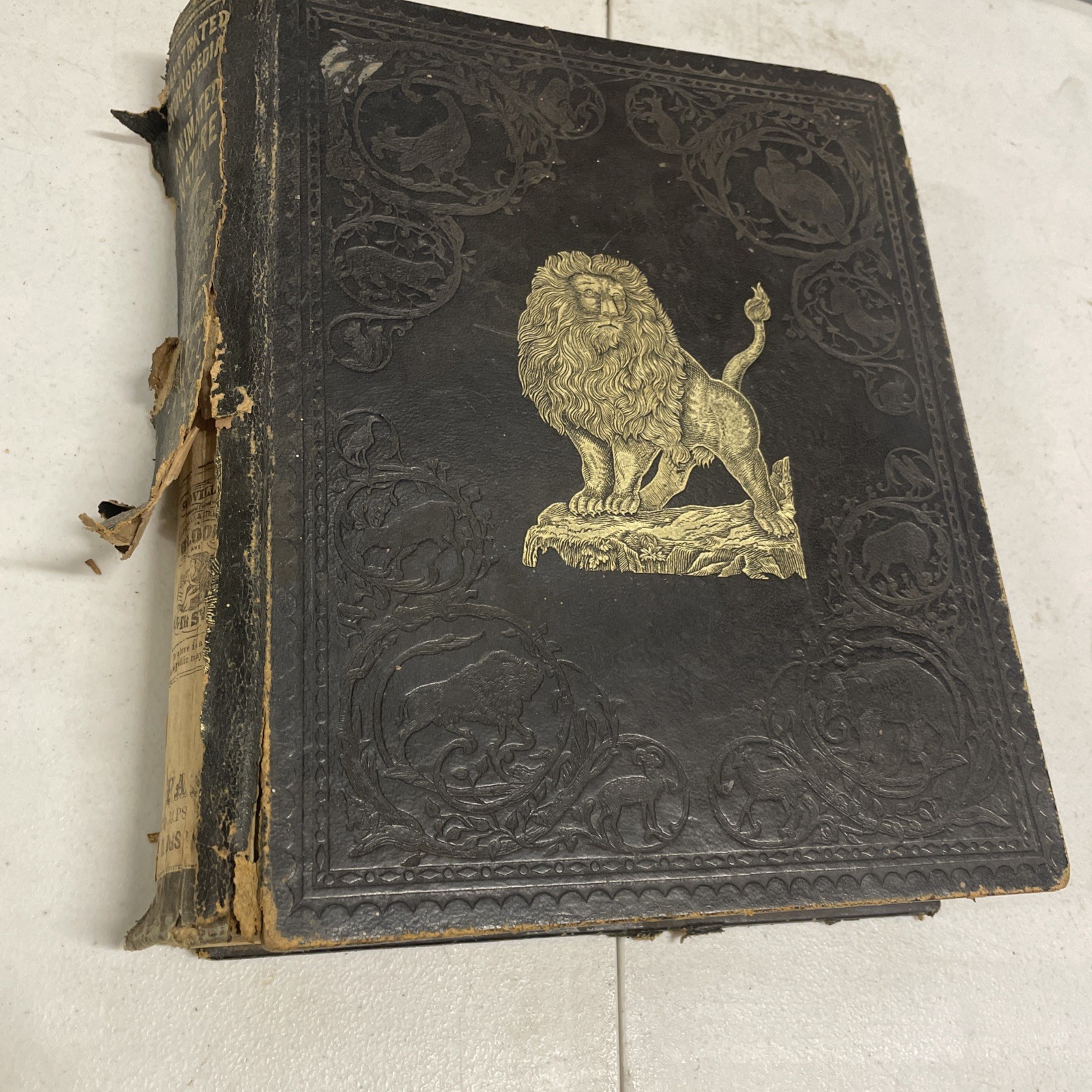 RARE 1855 JOHN FROST BOOK, „GRAND ILLUSTRATED ENCYCLOPEDIA OF ANIMATED NATURE“