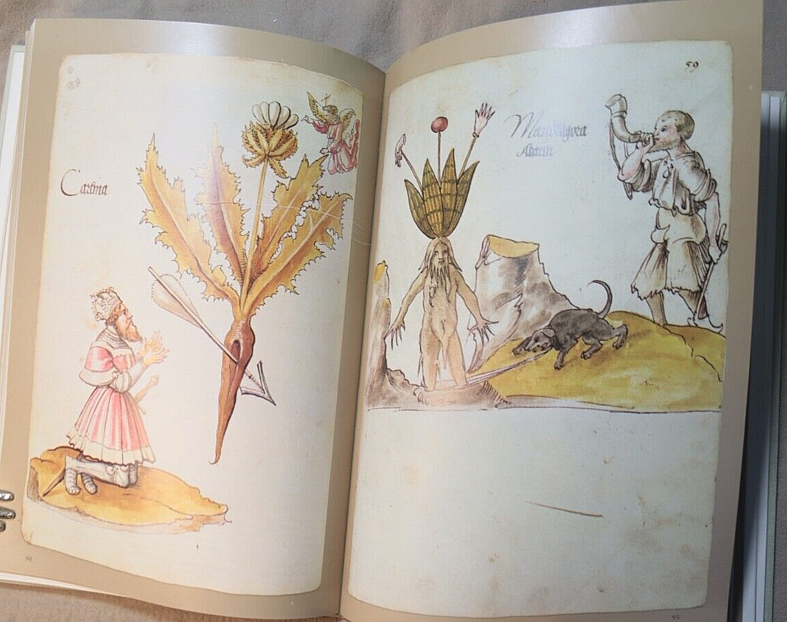 ILLUSTRATED HERBAL by Blunt 1979 First Ed HC/DJ HERBALISM Superstition Medicinal