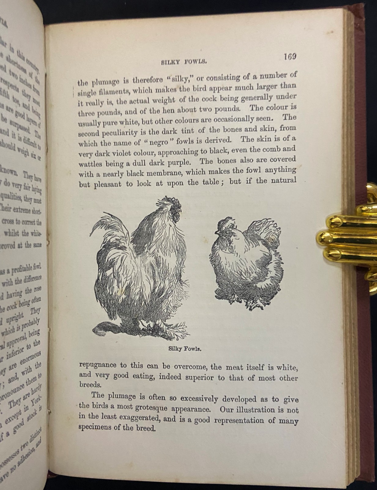 1880s THE PRACTICAL POULTRY KEEPER Farming & Natural History WRIGHT Antique Book