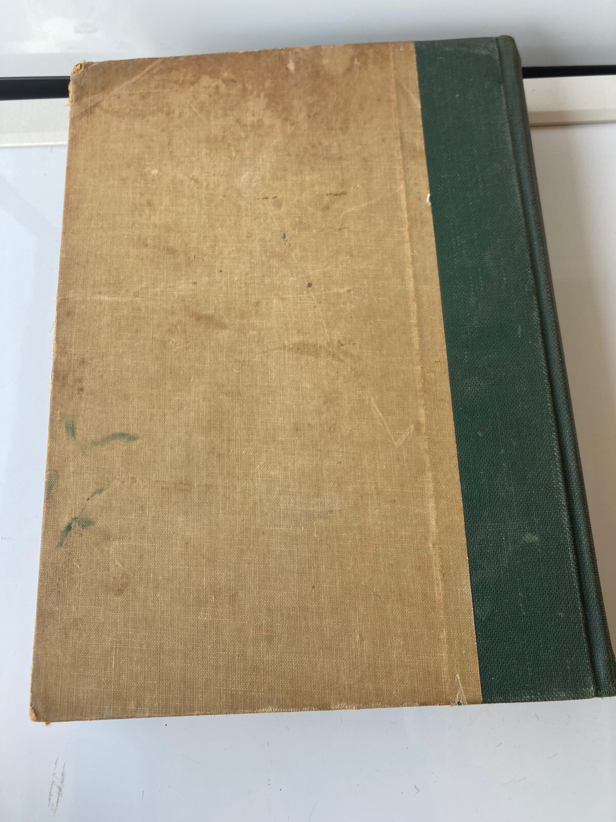 Birds of America 1936 Hardcover Color Plates Garden City Books Gilbert Pearson