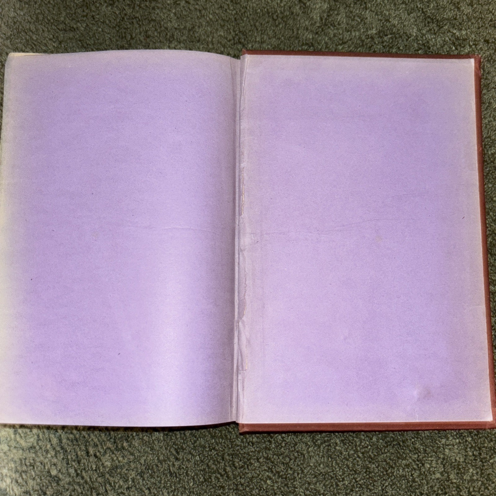 Antique 1877 Book: The Baroness of New York by Joaquin Miller