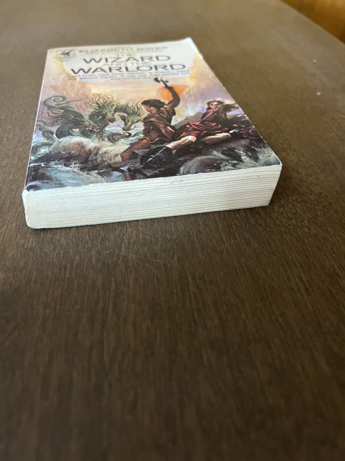 The Wizard And The Warlord By Elizabeth Boyer 1983 paperback Del Rey