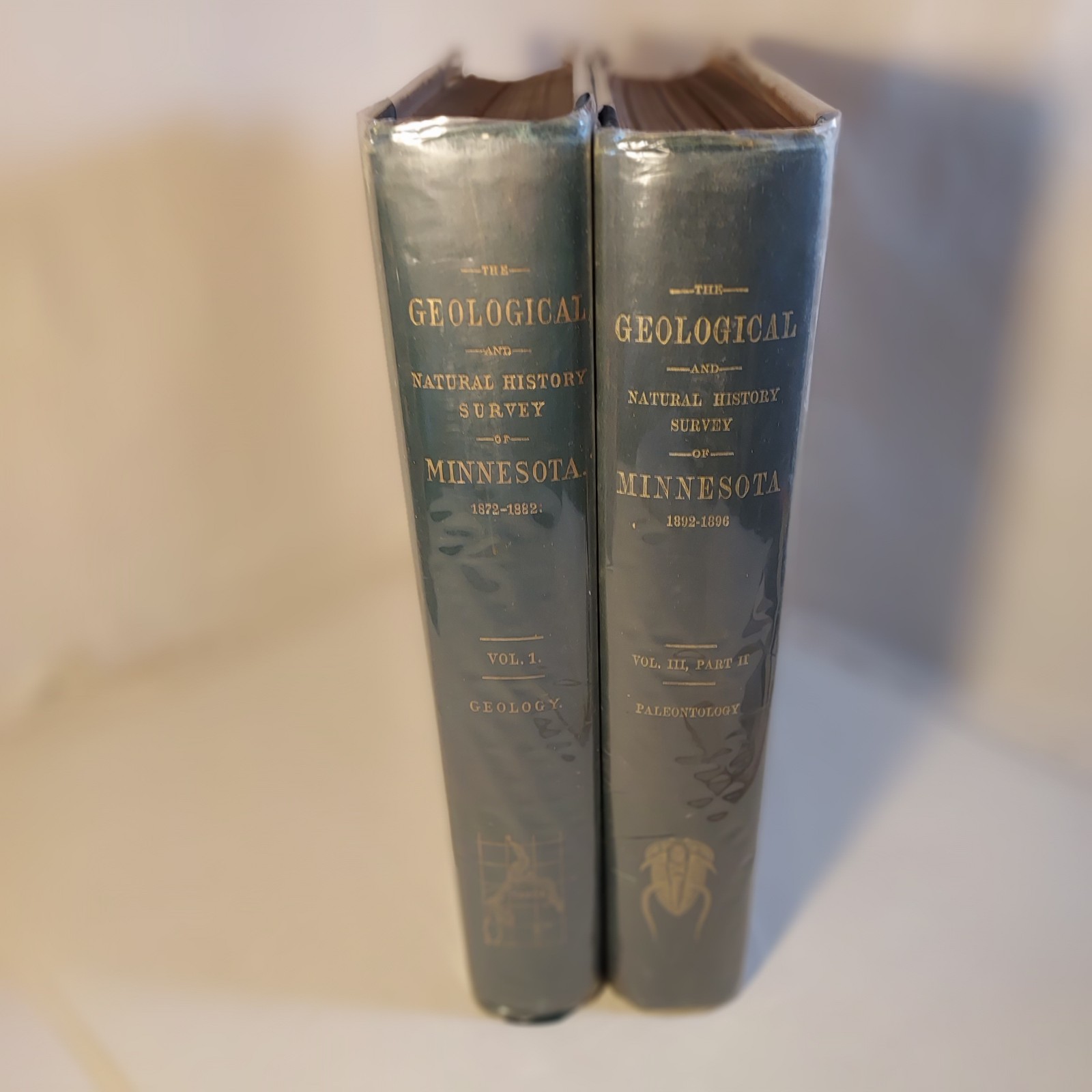1872-1882 Geological & History Survey of Minnesota-2 Vol-Color Maps and Plates